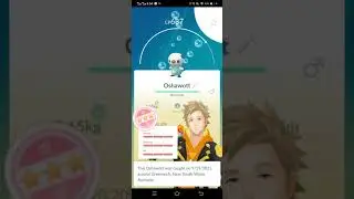 Catched 100 IV Oshawott in Oshawott Community Day
