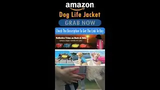 Dog Life Jacket - Dog Safety - Dog Swimming & Boating  #Shorts