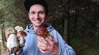Na grzyby #103 Coraz więcej pięknych Borowików