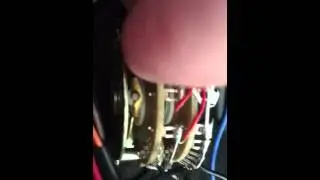 Traben chaos bass wiring issues again