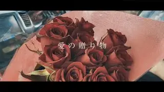 ナイトdeライト / 愛の贈り物 [MV]