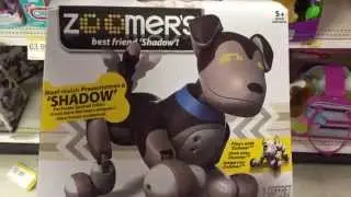 ZOOMER 