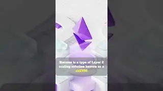 Polygon launches testnet for Layer 2 network Hermez