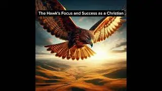 The Hawk&rsquo;s Focus | A Christian&rsquo;s Key to Success in Life, Career & Business