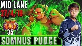 RNG.Somnus  [ Pudge ]  Mid Lane Pro Gameplay  [ Patch 7.31d ]  Dota 2 Full Game