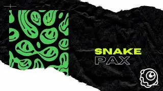 PAX-Snake || AMSTITUTE.