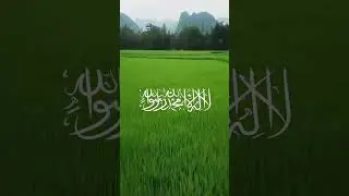 First Kalima Tayibah | First Pillar of Islam | Word for Word