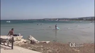 Alga tossica a Torre Canne, mancano i cartelli di divieto