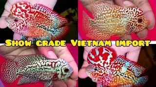 Ultimate compass experience in chennai | GB compass Vietnam import