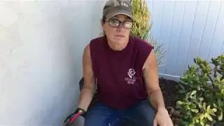 How to Clean Up an Overgrown Succulent Garden