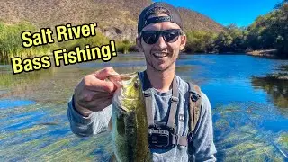 BANK Fishing the Salt River for BASS w/ GOAL Fishing