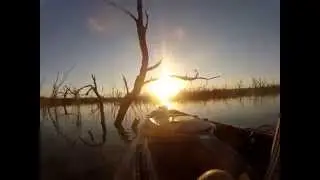 Fish on Ride 115 Bassyak