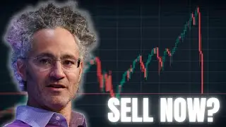 ⏰ URGENT: Watch This Before Palantir Reports Earnings Today!!!