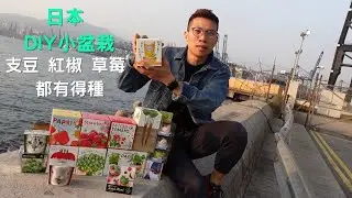 TONY好介紹|日本DIY小盆栽|辦公室小園藝|迷你綠植物|創意植物|SEISHIN