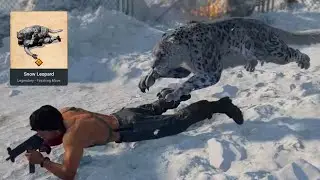 New Finishing Move Cold War