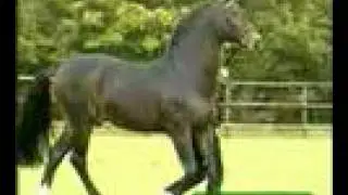 Calypso II