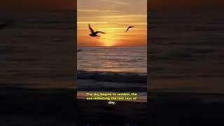 Sunset at The Beach #sunset #beach #sunsetview #nature #reflection