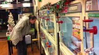 Tokyo friendly Pet store. Puppies and kitties for $ 2000