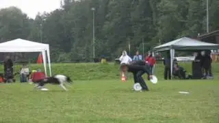 Julia Zimmermann & Lara K&uuml;r2 Hildesheim UFO Local 2009 Discdogging Turnier