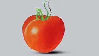Tomatoes Drawing in Color Pencil | Realistic Tomato Drawing | Oil Pastel colors |