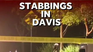 3rd stabbing reported in Davis; search for suspect
