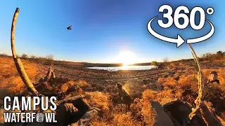 He Shot and Caught the Duck with a 360&deg; camera!! (Watch on Mobile)