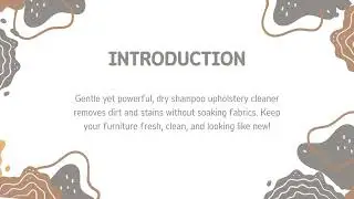 Best Dry Shampoo Upholstery Cleaner - www.anergy.com.sg