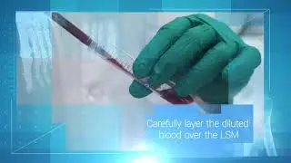 LSM&trade; lymphocyte separation medium - instructional video [MP Biomedicals LLC]