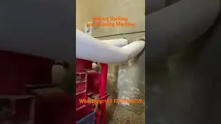 Combined peanut shelling and cleaning machine #groundnut #peanut #sheller  #agriculture