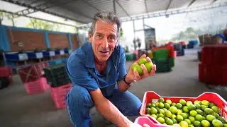 Fuimos a comprar limones y pagamos S/500 por la bolsa &iexcl;El Oro Verde!