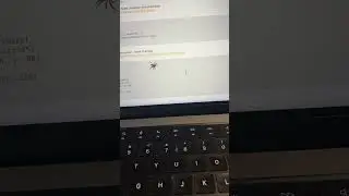 jumping spider vs mouse cursor