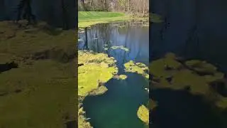 Earthen Pond Education!!!