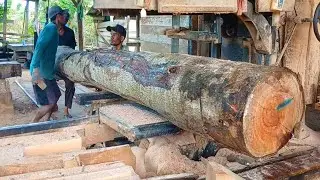 How to Profit in the Sawmill Business &ndash; Secrets to Success!