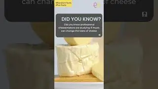 fun fact 003