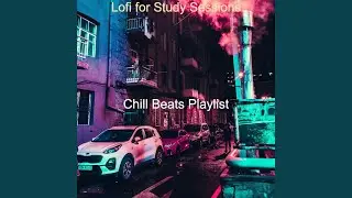 Mood for Study Sessions - Friendly Guitar Solo