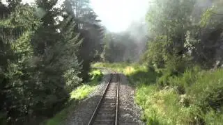 Stoom treinen in het Harz gebergte