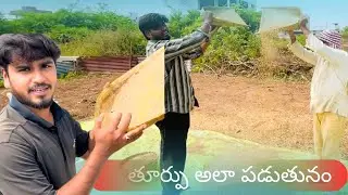 PADDY CLEANING IN OLD WAYS 🌾