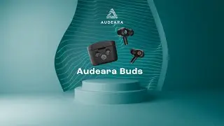 Introducing Audeara Buds