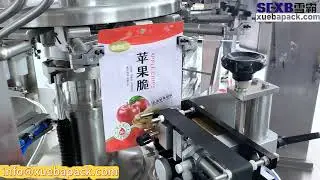 Dried fruit packaging：Premade pouch packaging machine with electronic weighing