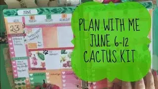 PLAN WITH ME JUNE 6 12 Cactus Kit from Callie Rose Co