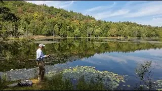 Exploring Hidden Ponds on Vermont's Public Lands: A Hike-In Fishing Adventure
