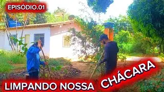 Limpando A CHÁCARA no PROJETO JAÍBA onde vamos MORAR