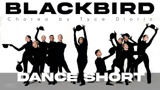 BLACKBIRD