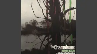 Dreams in Celluloid