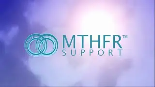 MTHFR Support&trade;-The Methylation Report