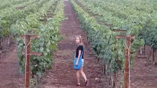 Vi&ntilde;as Queirolo: Staying overnight at a Peruvian Vineyard in Ica, Peru