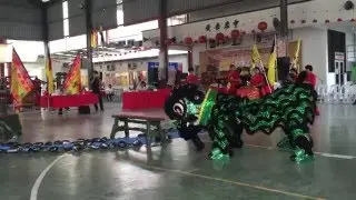 森州傳統南獅(新秀)聯賽第三站-( 马口 )森州直落甘望雲龍廟龍獅團