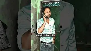 Going to the dog race||कुत्तों की रेस में जाना है🐕&zwj;🦺🤣||#shorts #funny #comedy