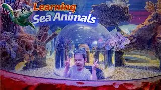 Learning Sea Animals 🐠 Fun Aquarium Video for Kids | Armine & Adina