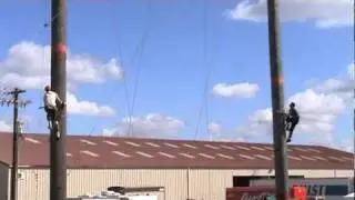 Stihl timbersports speed climb qualifier